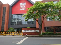 蘇州德威國際學校亞麻地板案例